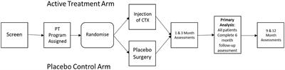 Methodological considerations in PISCES 3: a randomized, placebo-controlled study of intracerebral stem cells in subjects with disability following an ischemic stroke